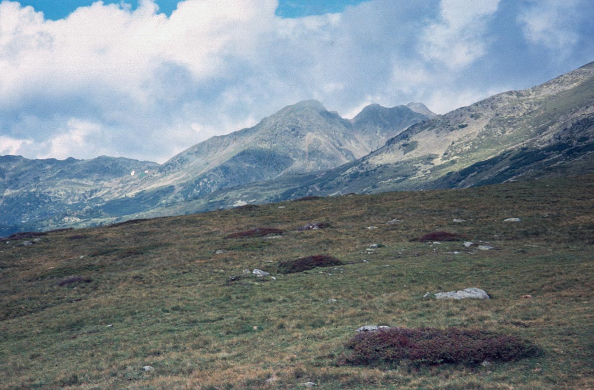 Kassianspitze